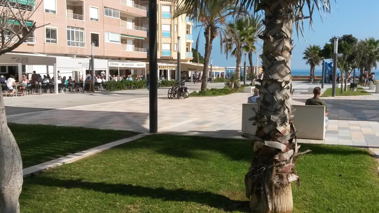 Lovely Apartment Near The Beach In Sunny La Mata 托雷维耶哈 外观 照片