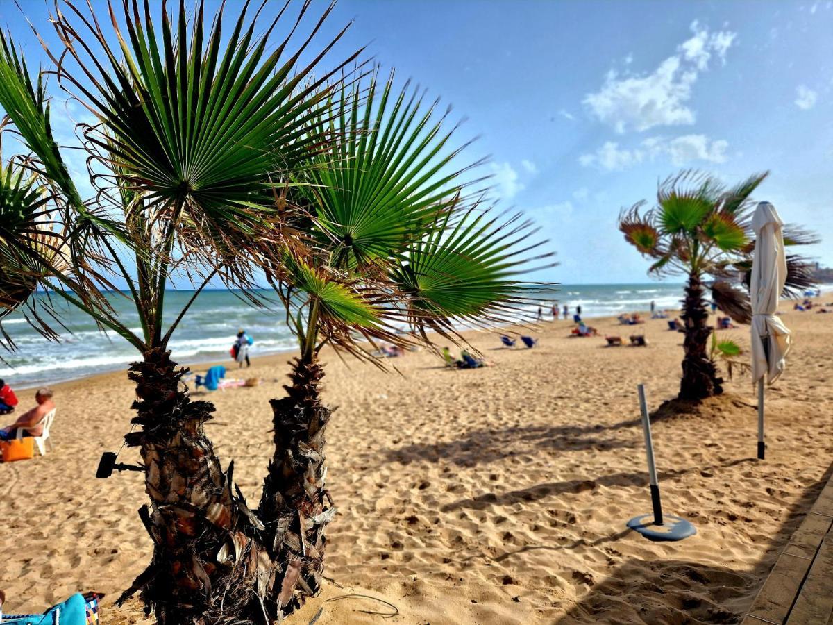 Lovely Apartment Near The Beach In Sunny La Mata 托雷维耶哈 外观 照片