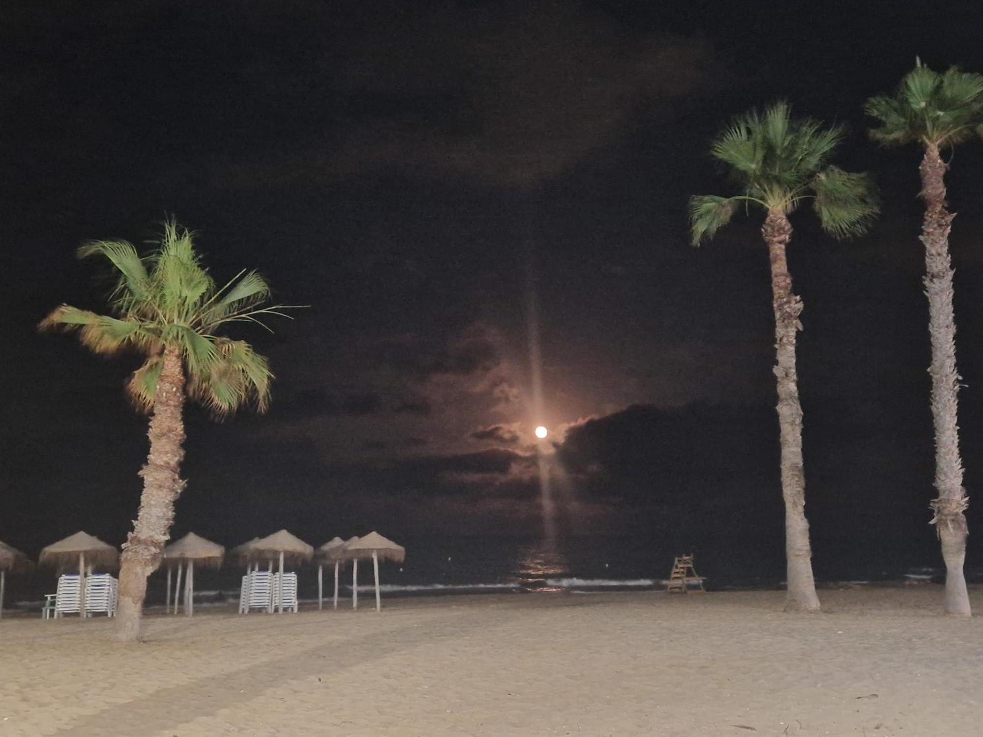 Lovely Apartment Near The Beach In Sunny La Mata 托雷维耶哈 外观 照片