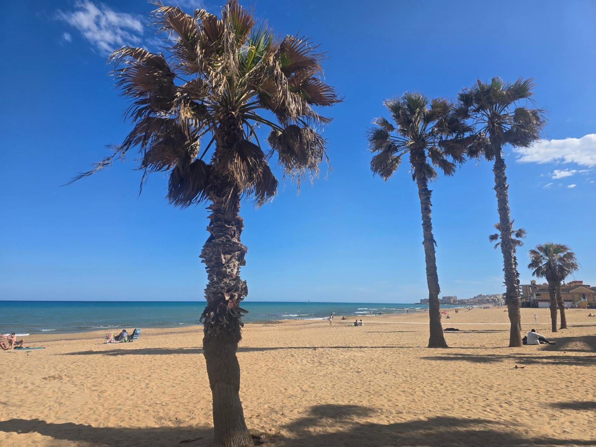 Lovely Apartment Near The Beach In Sunny La Mata 托雷维耶哈 外观 照片